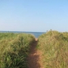 Entering the beach