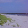 Beach Meadows
