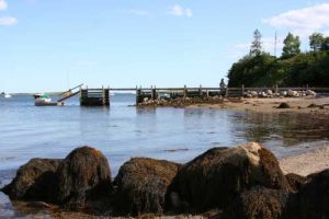 Freda Beach