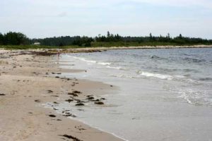 Cleveland Beach