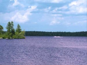 Aylesford Lake Beach