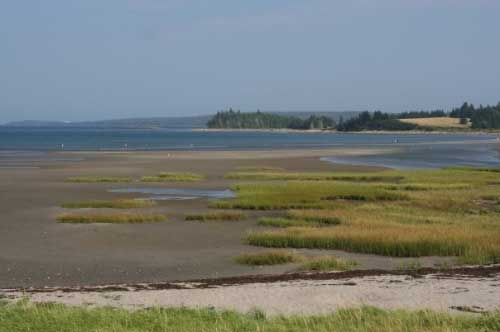 Sand Dollar Beach
