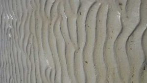 ripples in the sand, campers beach