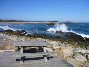 Tor Bay Beach/Park