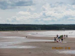 JULY 2011