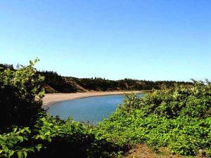 Sandy Cove Beach 1