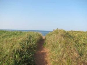 Entering the beach