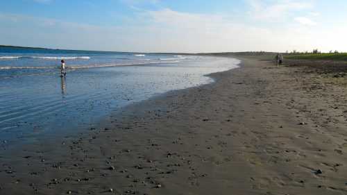 Point Michaud Beach