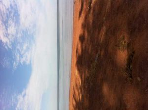 Love this beach