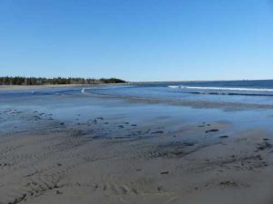 RosewayBeach_May62015