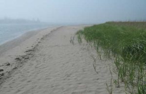 Rainbow Haven Shrouded in Fog