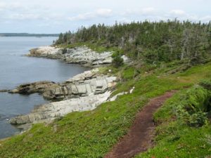 Taylor's Head Hiking Trails