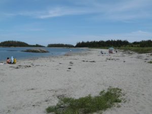 Taylor's Head Beach