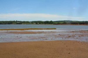 Avonport Beach