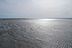 Sand Flats in early October