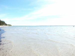 Shallow warm waters