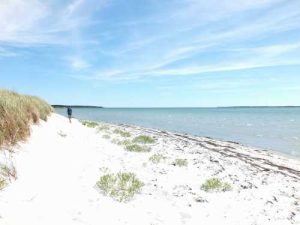 Majestic sand dunes