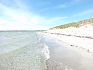 Tall Sand Dunes