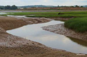lowtide
