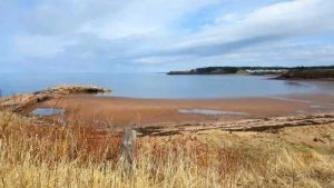 MacDonald's Cove beach
