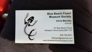 FossilMuseum