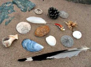 Beachcombing treasures