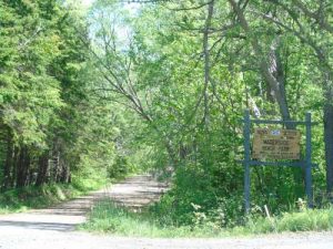Shortcut thru the woods