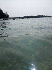 From chest high water looking at the beach