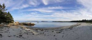 Peaceful Blues at Taylors Head Beach