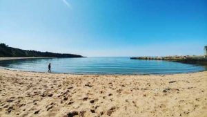 High summer