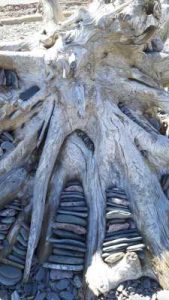 Driftwood Beach Art